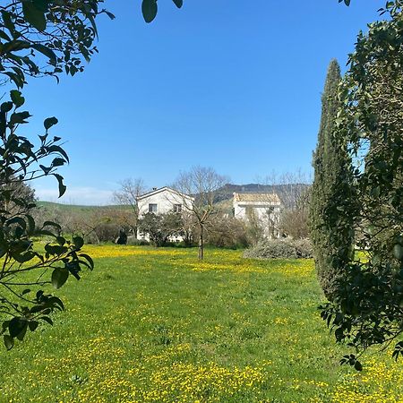 Agriturismo Colle Igino Матера Екстериор снимка