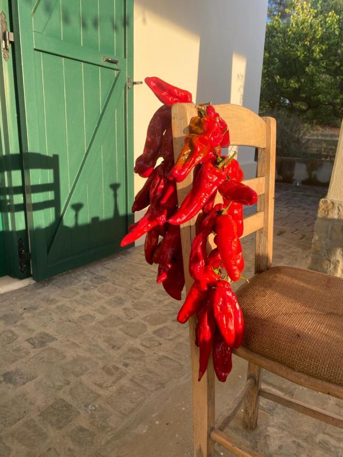 Agriturismo Colle Igino Матера Екстериор снимка