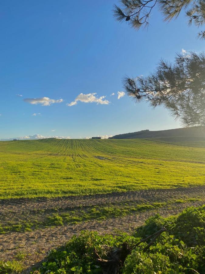 Agriturismo Colle Igino Матера Екстериор снимка