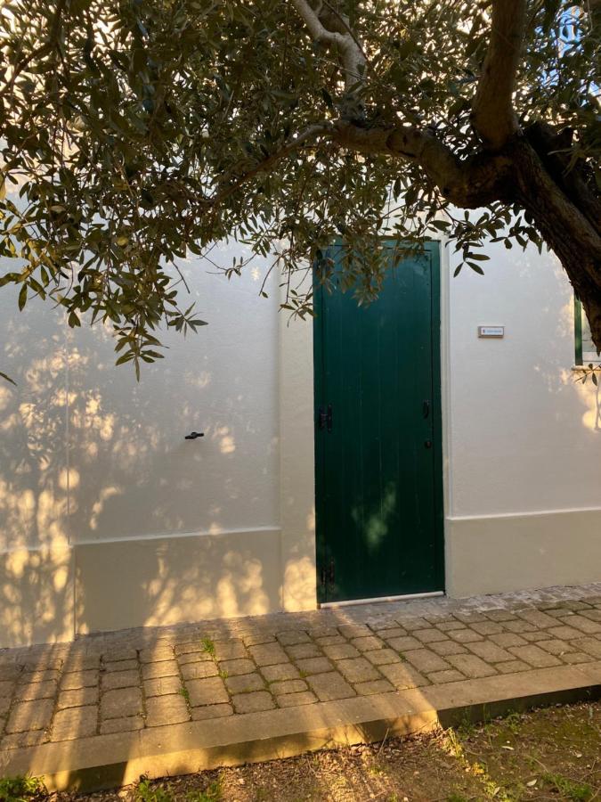 Agriturismo Colle Igino Матера Екстериор снимка