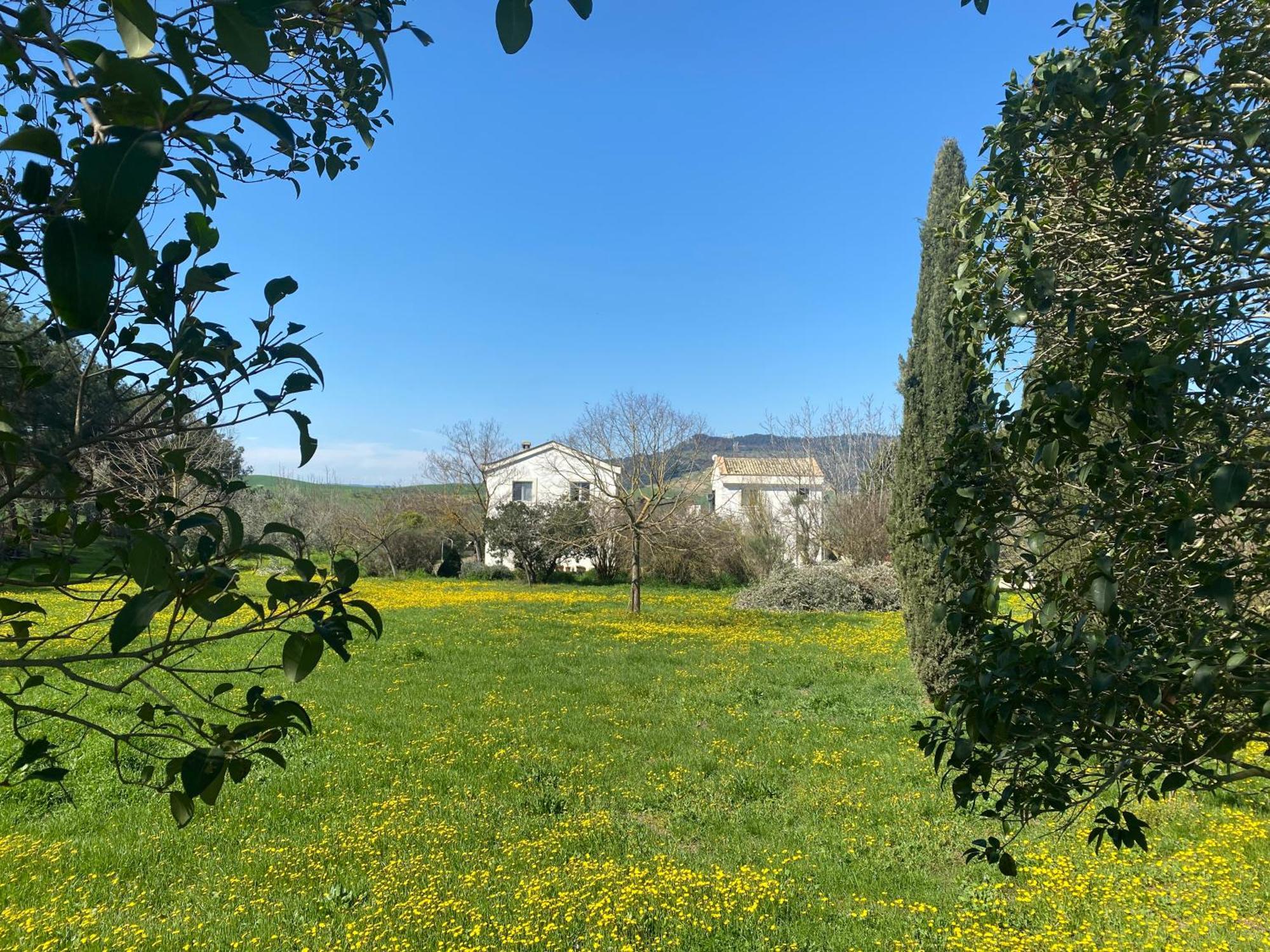Agriturismo Colle Igino Матера Екстериор снимка