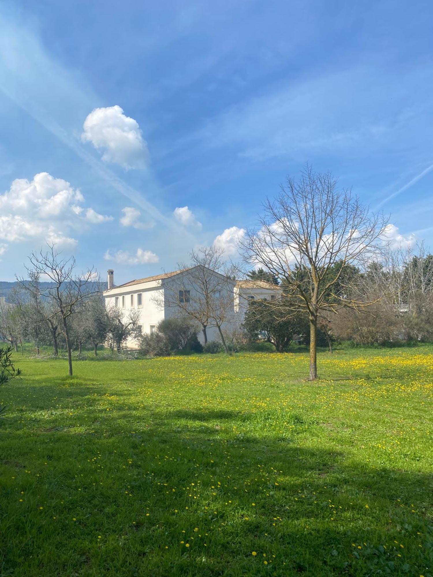 Agriturismo Colle Igino Матера Екстериор снимка
